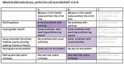 An investigation of age dependency in Dutch and Chinese values for EQ-5D-Y